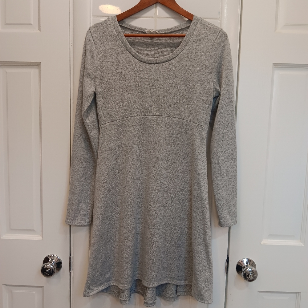 Roller Coaster Long sleeve grey mini A line dress, size Large.